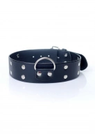 Fetish B - Series Collar with studs 4 cm