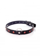 Fetish B - Series Collar - 2 cm. red crystal