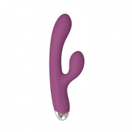 Dual rabbit vibrator