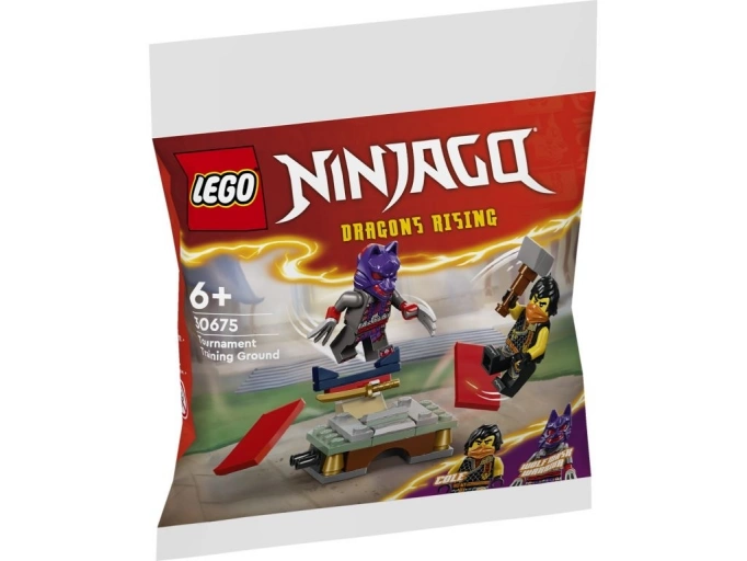 LEGO 30675 Ninjago Spotkanie z małym gorylem